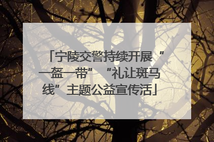 宁陵交警持续开展“一盔一带”“礼让斑马线”主题公益宣传活