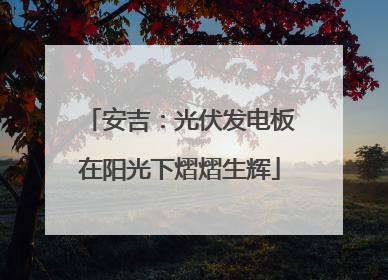 安吉：光伏发电板在阳光下熠熠生辉
