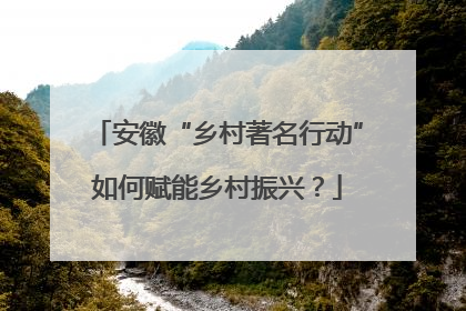 安徽“乡村著名行动”如何赋能乡村振兴？