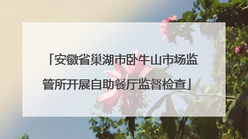 安徽省巢湖市卧牛山市场监管所开展自助餐厅监督检查