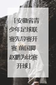 安徽省青少年足球联赛先导赛开赛 前国脚赵鹏为比赛开球