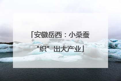 安徽岳西：小桑蚕“织”出大产业