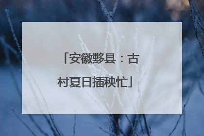 安徽黟县：古村夏日插秧忙