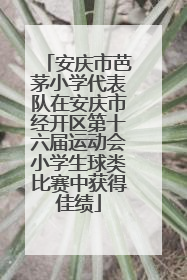 安庆市芭茅小学代表队在安庆市经开区第十六届运动会小学生球类比赛中获得佳绩