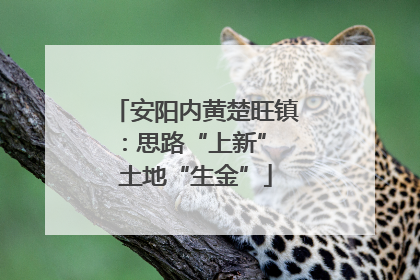 安阳内黄楚旺镇：思路“上新” 土地“生金”