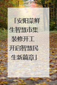 安阳菜鲜生智慧市集装修开工 开启智慧民生新篇章