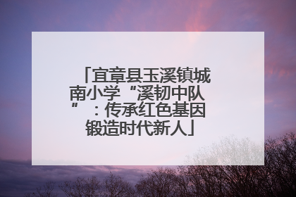 宜章县玉溪镇城南小学“溪韧中队”：传承红色基因 锻造时代新人