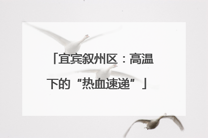 宜宾叙州区：高温下的“热血速递”