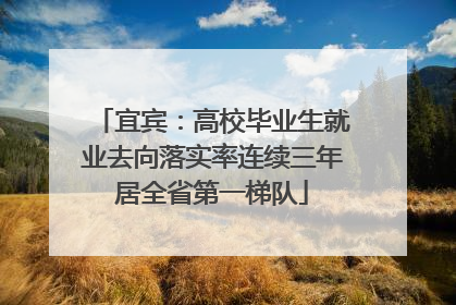宜宾：高校毕业生就业去向落实率连续三年居全省第一梯队