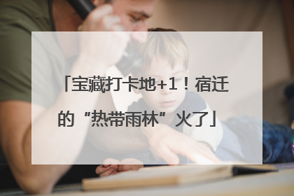 宝藏打卡地+1！宿迁的“热带雨林”火了