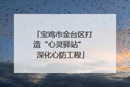 宝鸡市金台区打造“心灵驿站” 深化心防工程