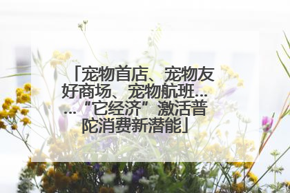 宠物首店、宠物友好商场、宠物航班……“它经济”激活普陀消费新潜能