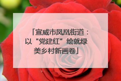 宣威市凤凰街道：以“党建红”绘就绿美乡村新画卷