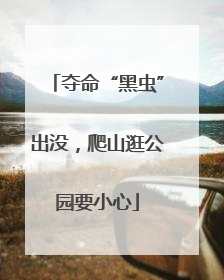 夺命“黑虫”出没，爬山逛公园要小心