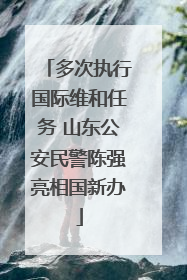 多次执行国际维和任务 山东公安民警陈强亮相国新办