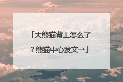 大熊猫背上怎么了？熊猫中心发文→