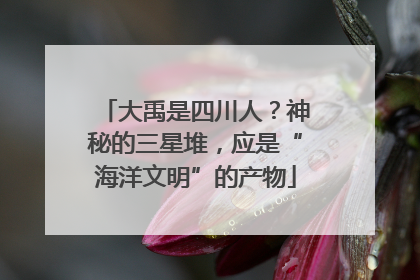 大禹是四川人？神秘的三星堆，应是“海洋文明”的产物