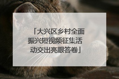 大兴区乡村全面振兴短视频征集活动交出亮眼答卷