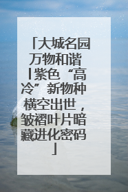 大城名园 万物和谐│紫色“高冷”新物种横空出世，皱褶叶片暗藏进化密码