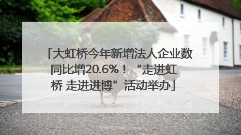大虹桥今年新增法人企业数同比增20.6%！“走进虹桥 走进进博”活动举办
