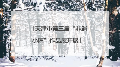 天津市第三届“非遗小匠”作品展开展
