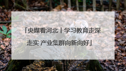 央媒看河北丨学习教育走深走实 产业集群向新向好
