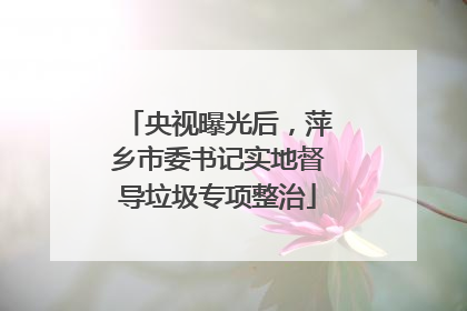 央视曝光后，萍乡市委书记实地督导垃圾专项整治