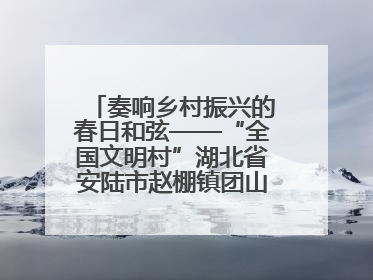 奏响乡村振兴的春日和弦——“全国文明村”湖北省安陆市赵棚镇团山村农文旅融合发展见闻