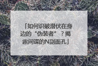 如何识破潜伏在身边的“伪装者”？揭露间谍的N副面孔