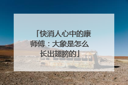 快消人心中的康师傅：大象是怎么长出翅膀的
