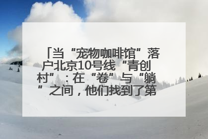 当“宠物咖啡馆”落户北京10号线“青创村”：在“卷”与“躺”之间，他们找到了第三种生活公式