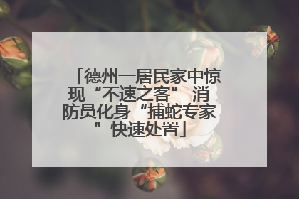 德州一居民家中惊现“不速之客” 消防员化身“捕蛇专家”快速处置