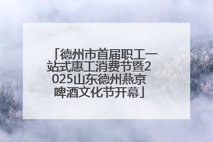 德州市首届职工一站式惠工消费节暨2025山东德州燕京啤酒文化节开幕