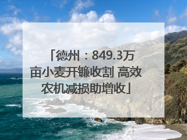 德州：849.3万亩小麦开镰收割 高效农机减损助增收