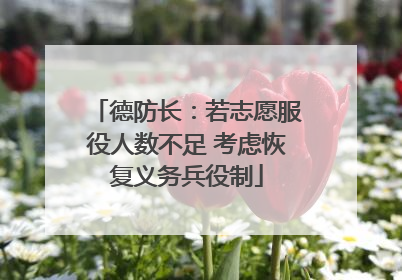 德防长：若志愿服役人数不足 考虑恢复义务兵役制