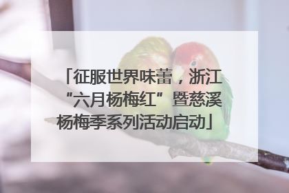 征服世界味蕾，浙江“六月杨梅红”暨慈溪杨梅季系列活动启动