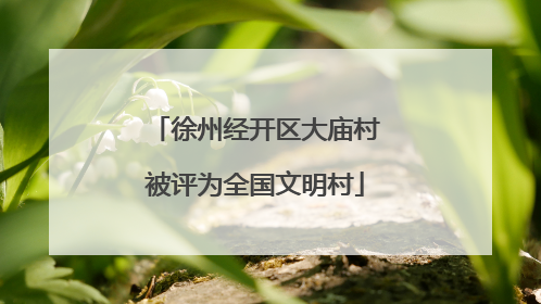 徐州经开区大庙村被评为全国文明村