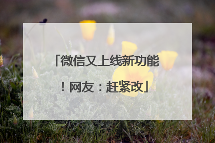 微信又上线新功能！网友：赶紧改