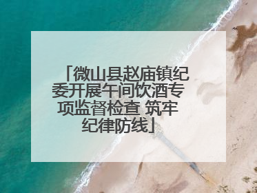 微山县赵庙镇纪委开展午间饮酒专项监督检查 筑牢纪律防线