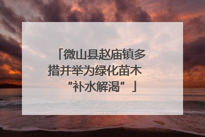 微山县赵庙镇多措并举为绿化苗木“补水解渴”