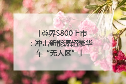 尊界S800上市：冲击新能源超豪华车“无人区”