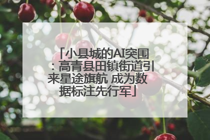 小县城的AI突围：高青县田镇街道引来星途旗航 成为数据标注先行军