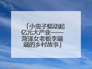 小虫子蠕动起亿元大产业——菏泽女老板李端端的乡村故事