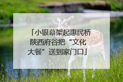 小银幕架起惠民桥 陕西府谷把“文化大餐”送到家门口