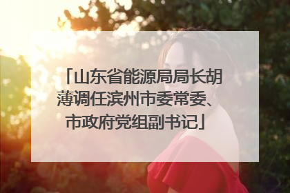 山东省能源局局长胡薄调任滨州市委常委、市政府党组副书记