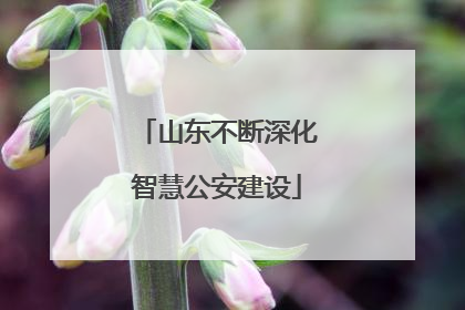 山东不断深化智慧公安建设