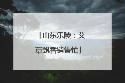 山东乐陵：艾草飘香销售忙