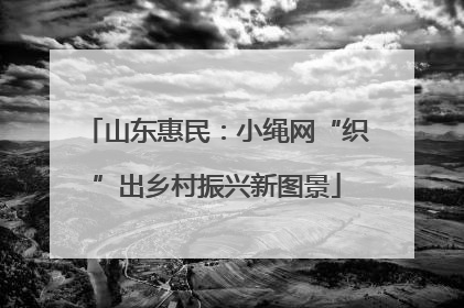 山东惠民：小绳网“织”出乡村振兴新图景