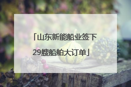 山东新能船业签下29艘船舶大订单