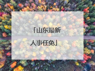 山东最新人事任免